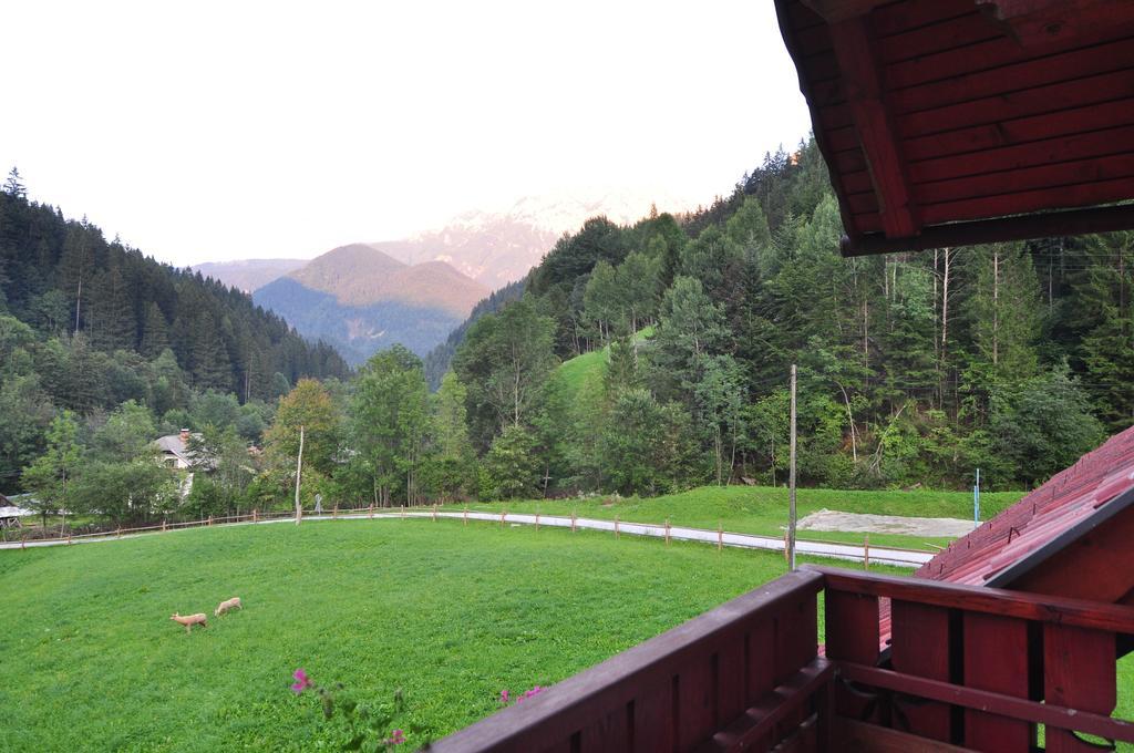 Na Logu - Farm Stay Ambroz Gregorc Солчава Номер фото