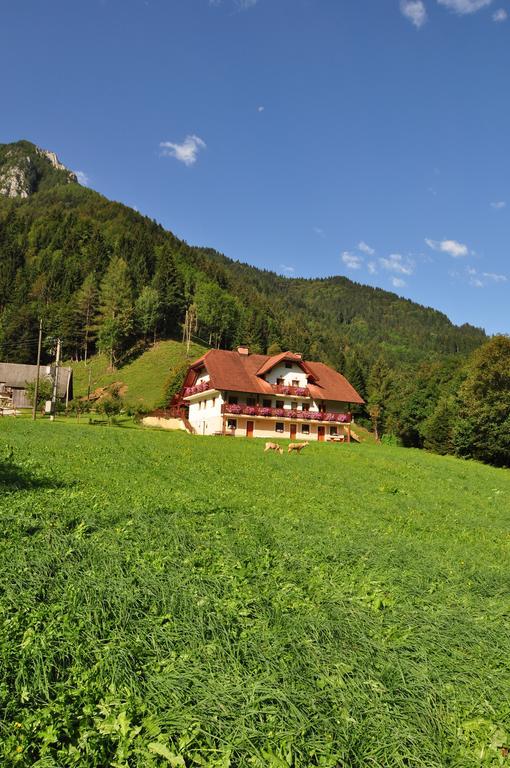 Na Logu - Farm Stay Ambroz Gregorc Солчава Екстер'єр фото
