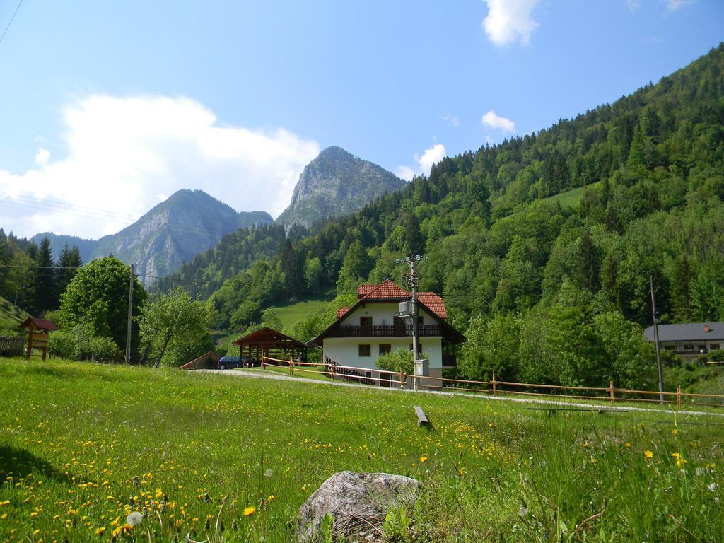 Na Logu - Farm Stay Ambroz Gregorc Солчава Екстер'єр фото