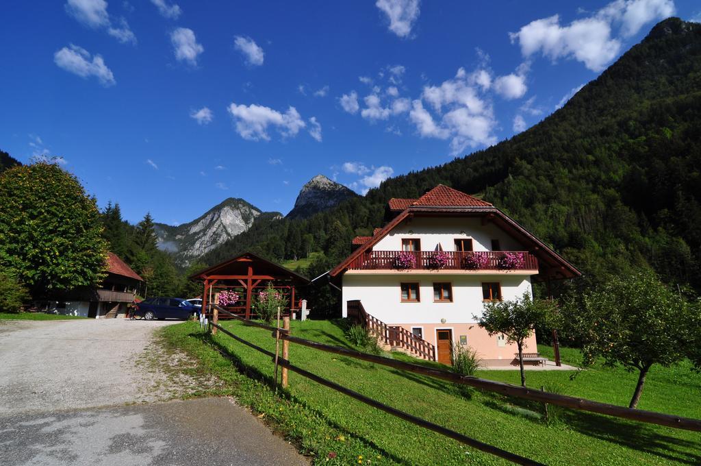 Na Logu - Farm Stay Ambroz Gregorc Солчава Екстер'єр фото